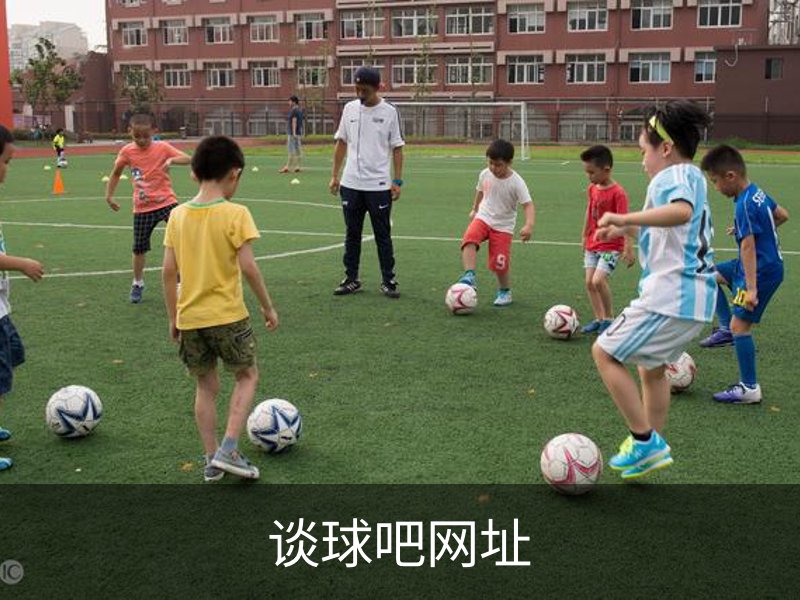 谈球吧网址简介